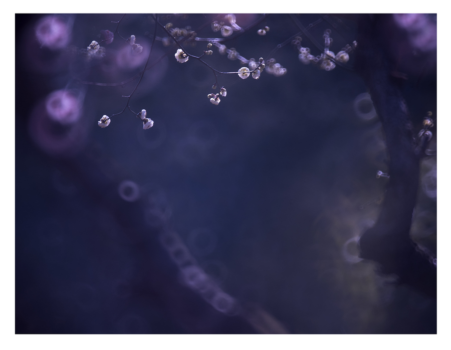 射手团形态崎岖三分没谱 胡德奇兵杀出拼尽全力【panda sports】(图1) xiongmao体育