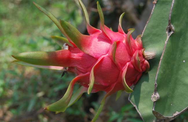 熊猫体育:陕西县域经济总量逾万亿元(图1) 熊猫体育