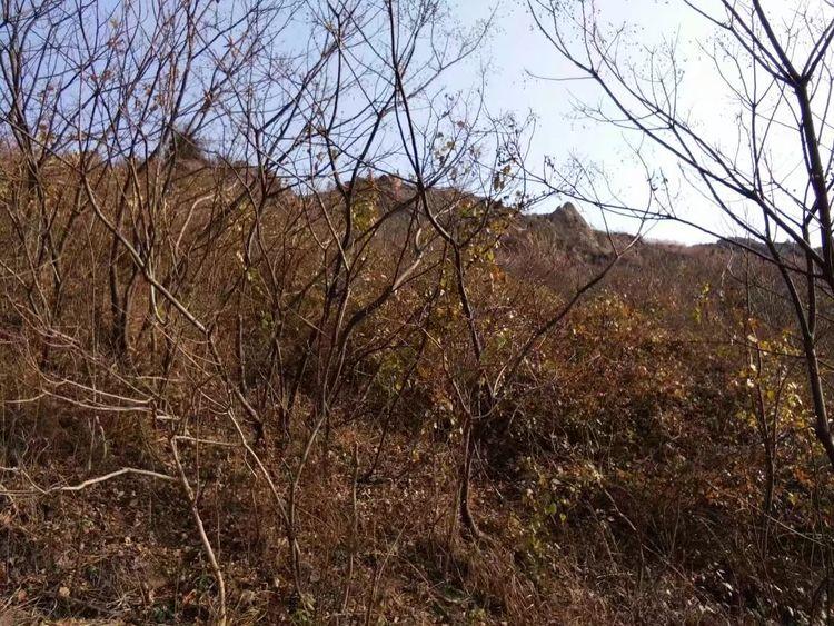 xiongmao体育-绝地求生最新逆天BUG:躲进队友尸体无敌30秒(图1) xiongmao体育