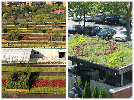 曼联错失良机!马夏尔妙传 林加德单刀挑射辣眼睛:xiongmao体育(图3) panda sports