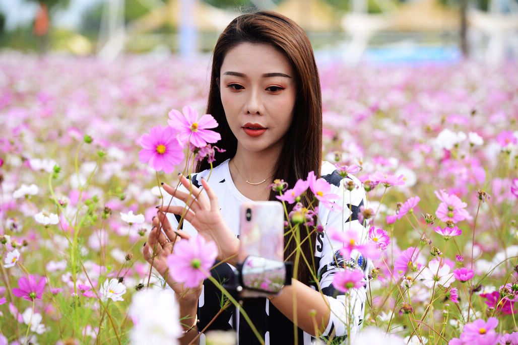 9月2日起国务院关税税则委员会正式接受第二批对美加征关税商品排除申请:xiongmao体育(图1) 熊猫体育