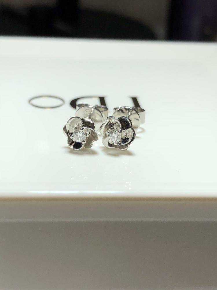 活见鬼!利物浦球迷制服偷渡英国 一起合影拥抱|xiongmao体育(图1) 熊猫体育