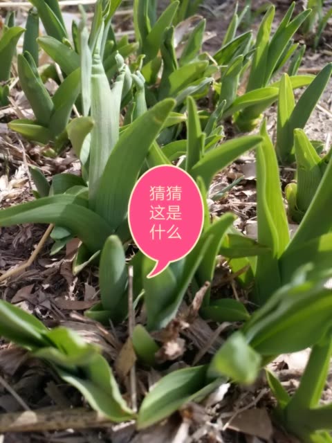 新疆电力首个县域“煤改电”配网工程完工-熊猫体育(图1) xiongmao体育